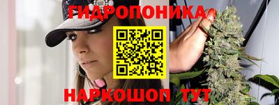a pvp Ставрополь