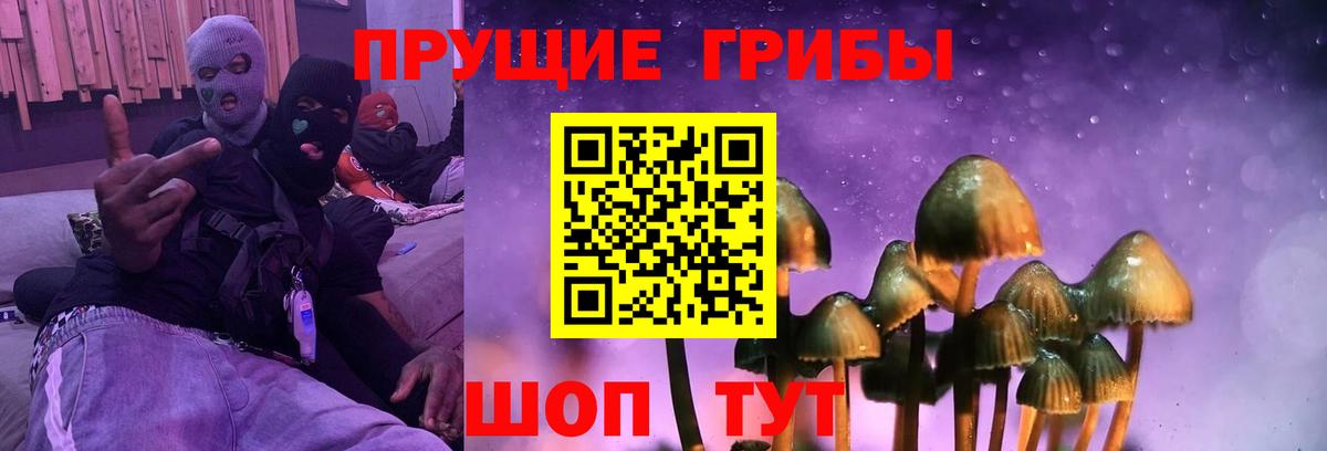 Орск  Галлюциногенные грибы мухоморы  Вход с VPN 
